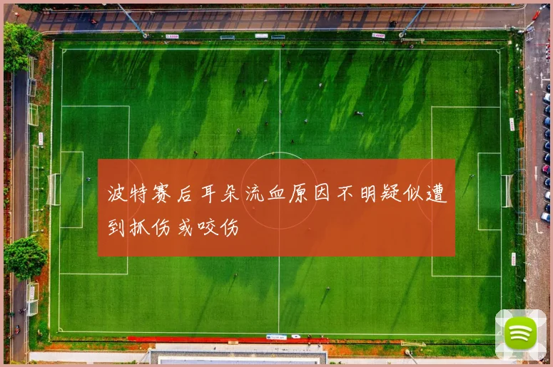 波特赛后耳朵流血原因不明疑似遭到抓伤或咬伤
